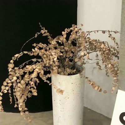 Furry兽设临摹素材FurryQQ群